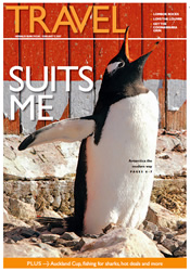 Penguins in Antarctica