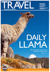Llamas of Peru